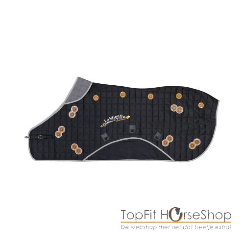 Lemieux Conductive Magnotherapy boots - Afbeelding 3