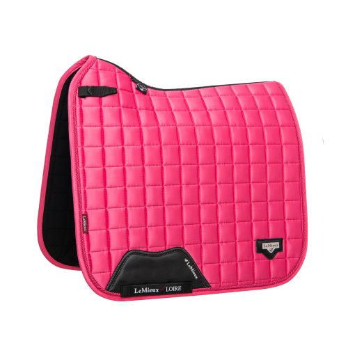 Lemieux Dressage Loire Watermelon