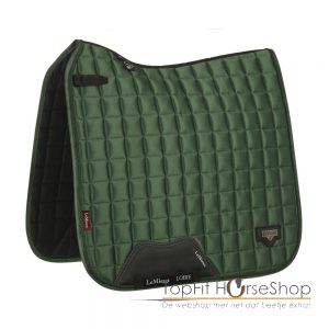 Lemieux Dressage Loire Huntergreen