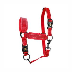 Superior Veulenhalster Rood